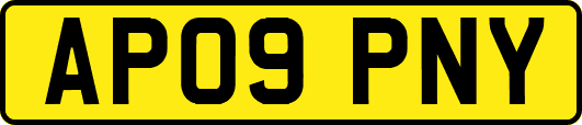 AP09PNY
