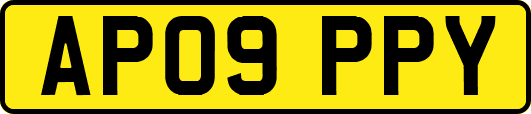 AP09PPY