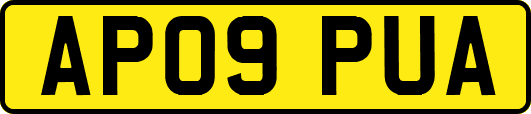 AP09PUA