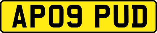 AP09PUD