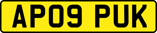 AP09PUK