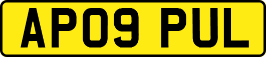 AP09PUL