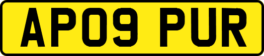 AP09PUR