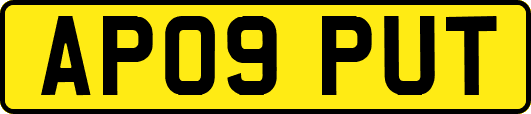AP09PUT