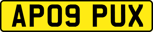 AP09PUX