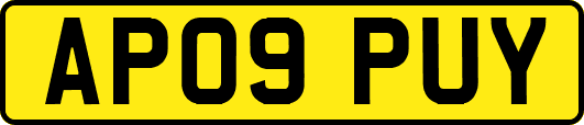 AP09PUY