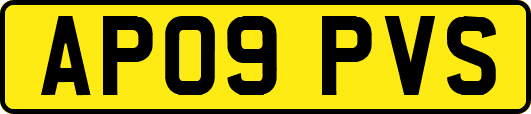 AP09PVS
