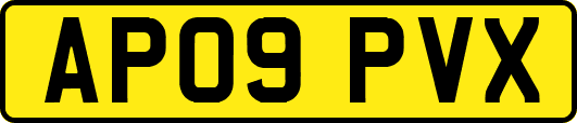 AP09PVX