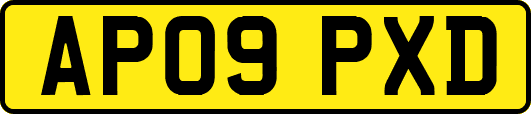 AP09PXD