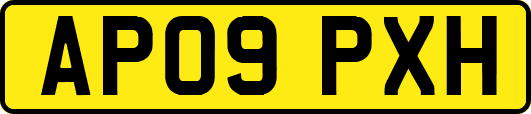 AP09PXH