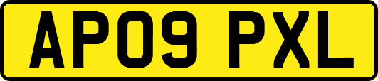 AP09PXL
