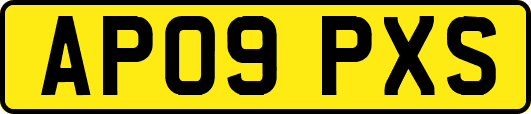 AP09PXS