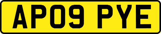 AP09PYE