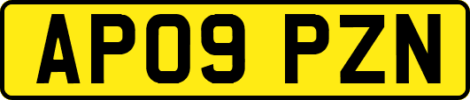 AP09PZN