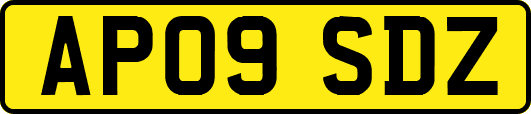 AP09SDZ