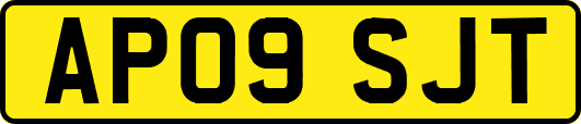 AP09SJT