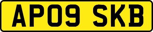AP09SKB