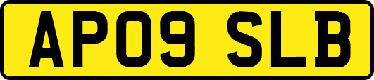 AP09SLB