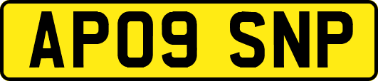 AP09SNP