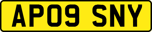 AP09SNY