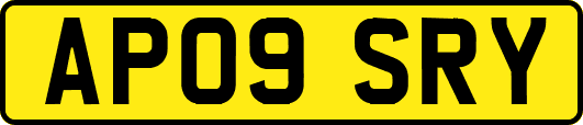 AP09SRY
