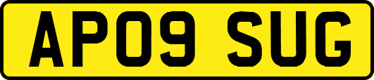 AP09SUG
