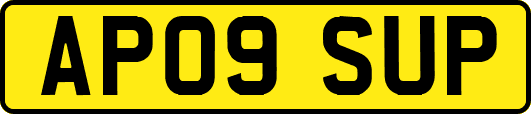 AP09SUP