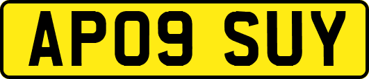 AP09SUY