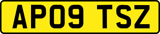 AP09TSZ