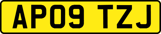 AP09TZJ