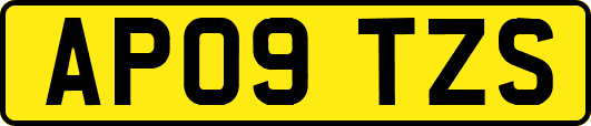 AP09TZS