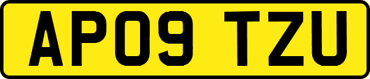 AP09TZU