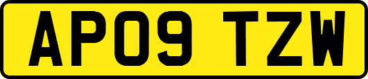 AP09TZW
