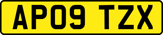 AP09TZX