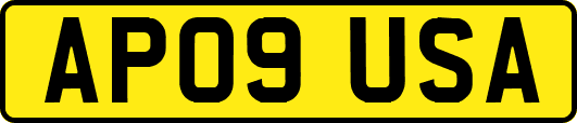 AP09USA
