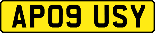 AP09USY