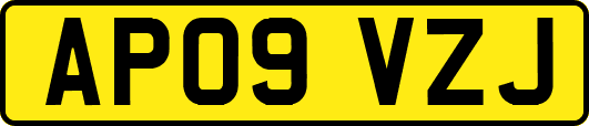 AP09VZJ