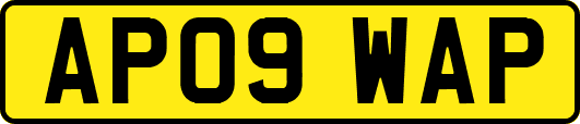 AP09WAP