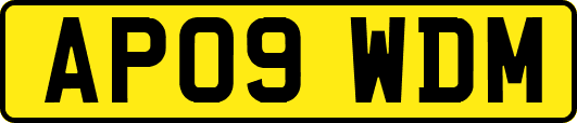 AP09WDM