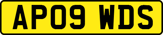 AP09WDS