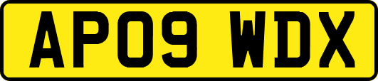 AP09WDX