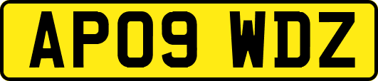 AP09WDZ