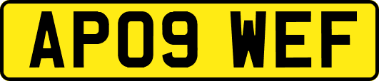 AP09WEF