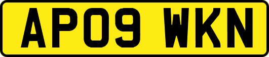 AP09WKN
