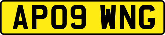 AP09WNG
