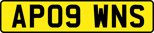 AP09WNS