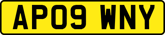 AP09WNY