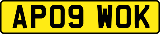 AP09WOK