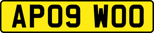 AP09WOO