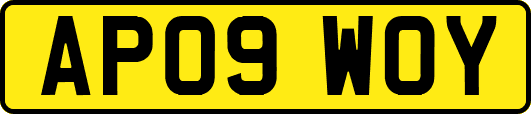 AP09WOY